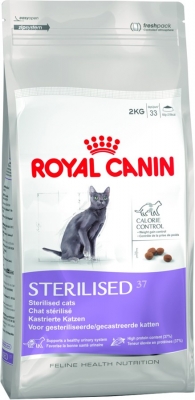 Royal-Canin-Kitten.jpg_product_product_product_product_product_product_product_product_product_product_product_product_product